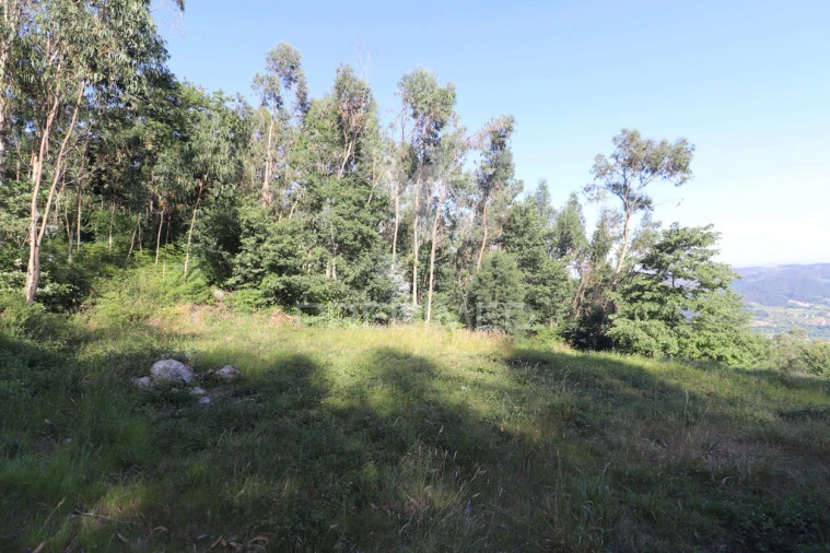Terreno para Venda em Pico de Regalados, Gondiães e Mós Foto 11