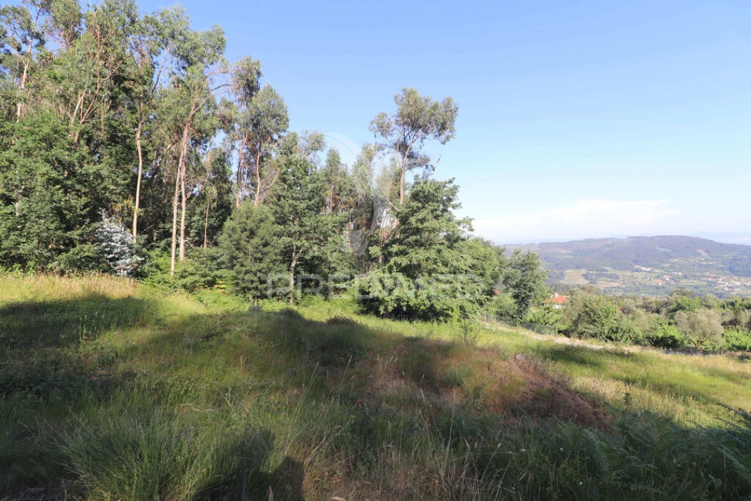 Terreno para Venda em Pico de Regalados, Gondiães e Mós Foto 13