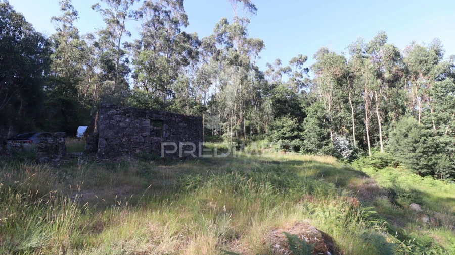 Terreno para Venda em Pico de Regalados, Gondiães e Mós