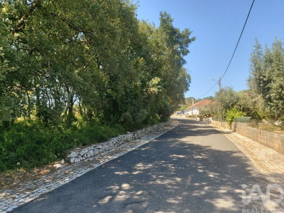 Terreno para Venda em Porto de Mós - São João Baptista e São Pedro Foto 4