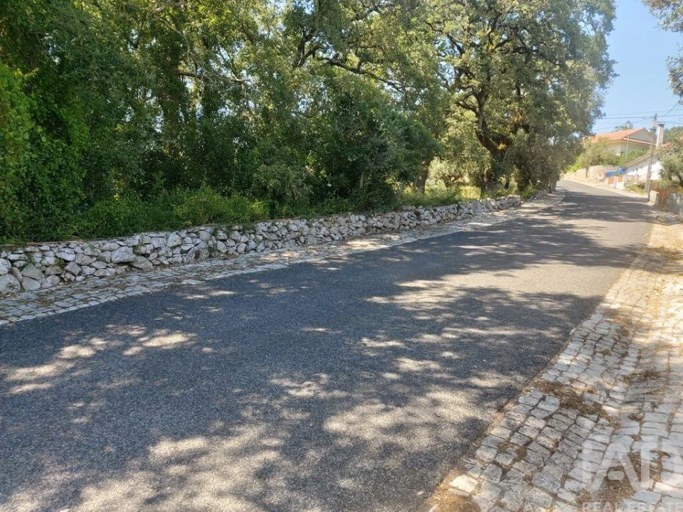 Terreno para Venda em Porto de Mós - São João Baptista e São Pedro Foto 5