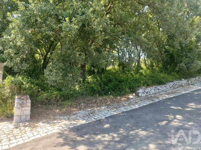 Terreno para Venda em Porto de Mós - São João Baptista e São Pedro Foto 3