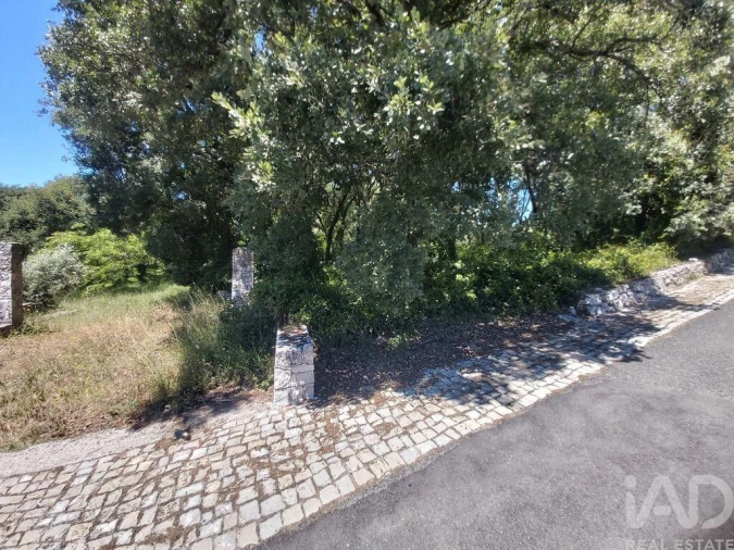Terreno para Venda em Porto de Mós - São João Baptista e São Pedro Foto 2