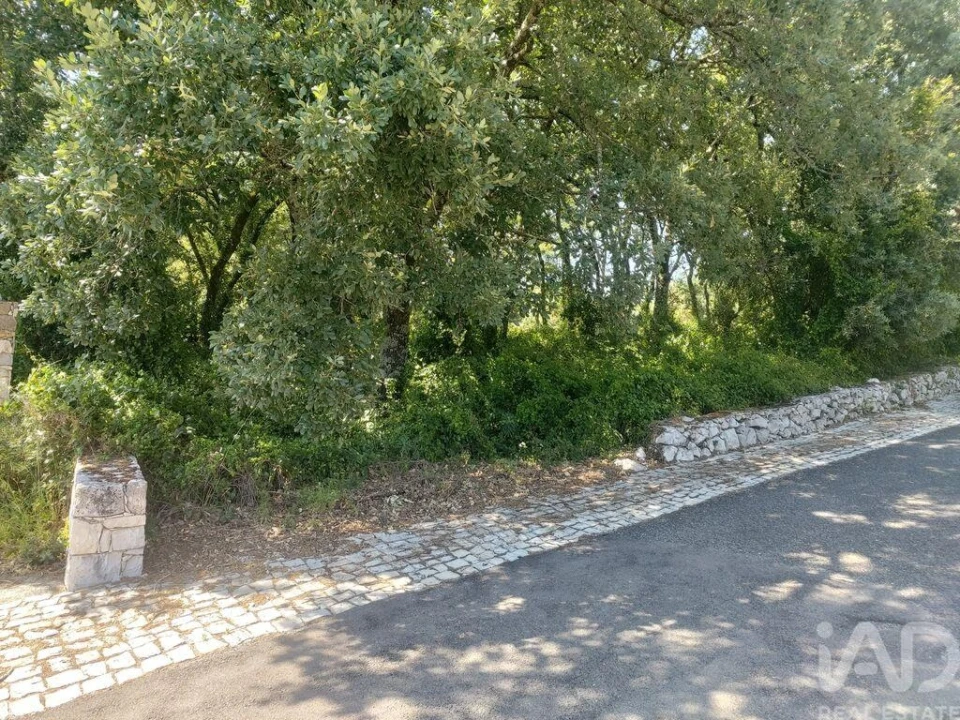 Terreno para Venda em Porto de Mós - São João Baptista e São Pedro Foto 3