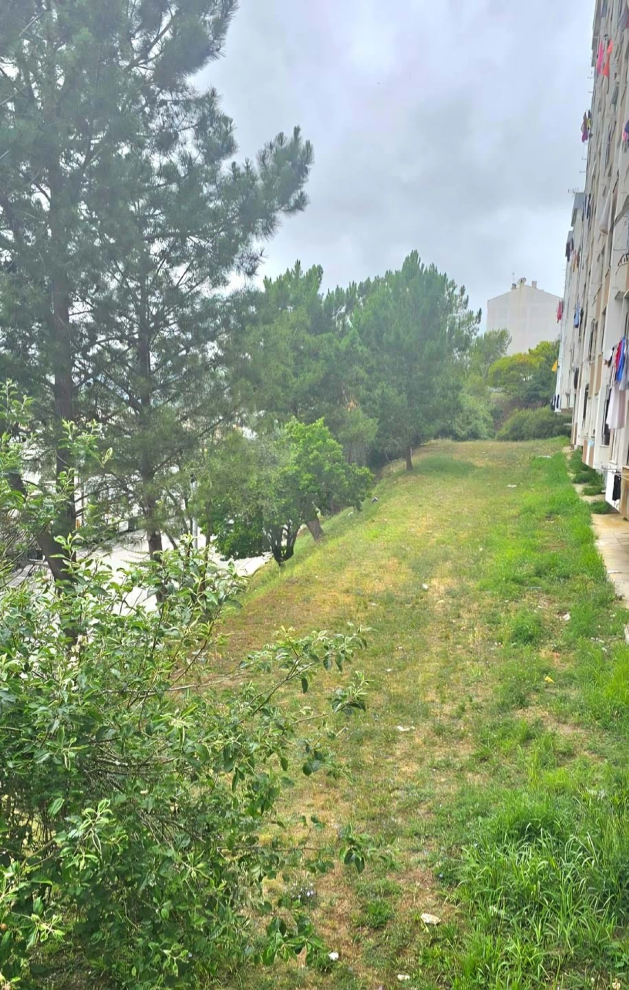 Apartamento T2 para Venda em Rio de Mouro Foto 11