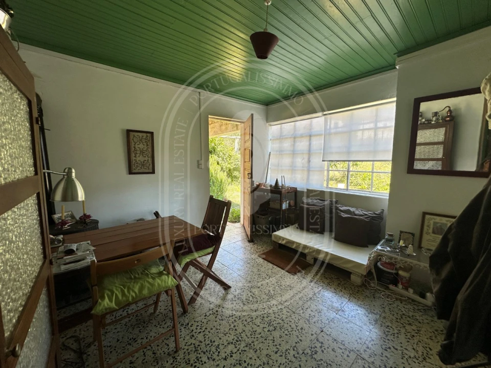 Quinta T3 para Venda em Vila de Rei Foto 9