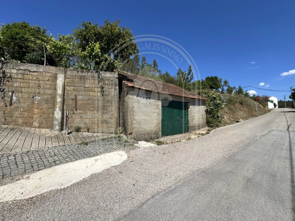 Quinta T3 para Venda em Vila de Rei Foto 55