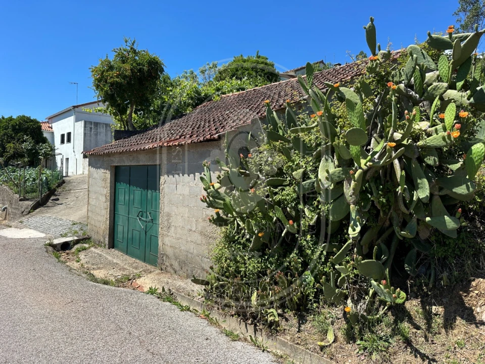 Quinta T3 para Venda em Vila de Rei Foto 56