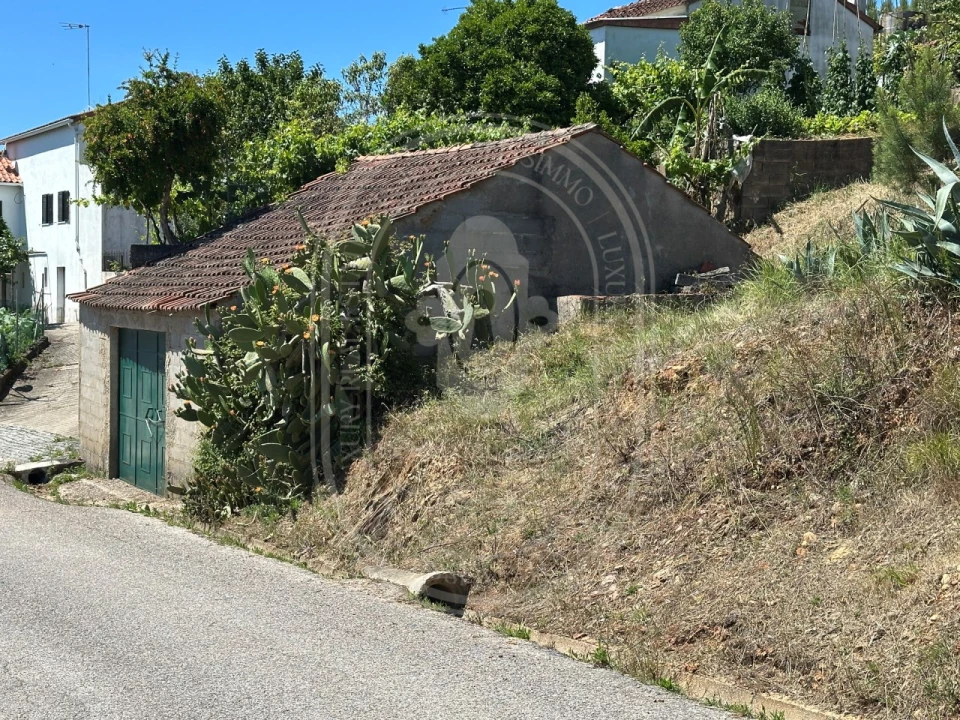 Quinta T3 para Venda em Vila de Rei Foto 57