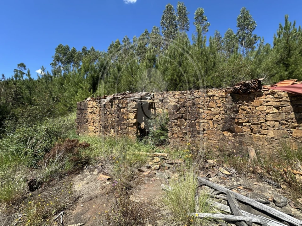 Quinta T3 para Venda em Vila de Rei Foto 60