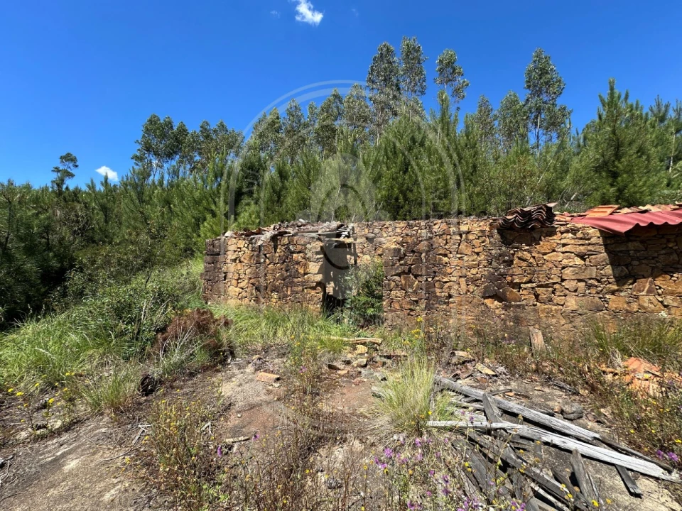 Quinta T3 para Venda em Vila de Rei Foto 61
