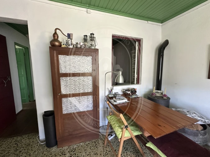 Quinta T3 para Venda em Vila de Rei Foto 5