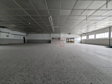 Negócio para Arrendamento em Cepães e Fareja