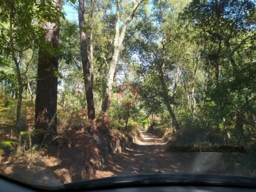 Quinta para Venda em Pias