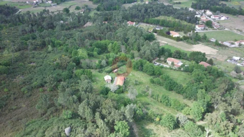 Quinta para Venda em Pias