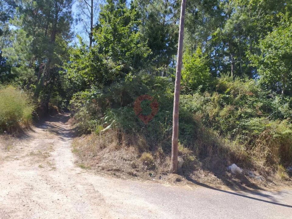 Quinta para Venda em Pias Foto 14