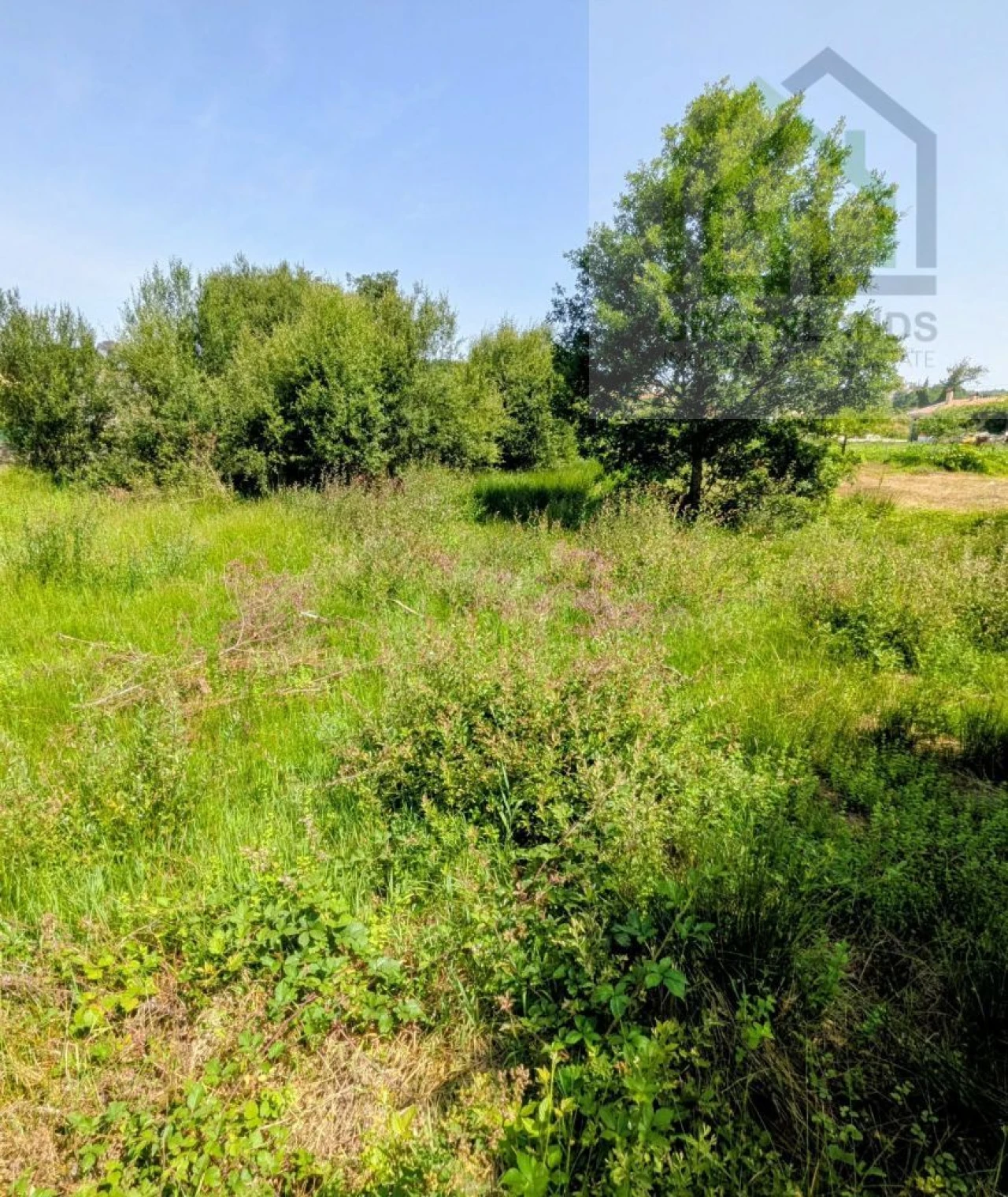 Terreno para Venda em Nogueira do Cravo Foto 14