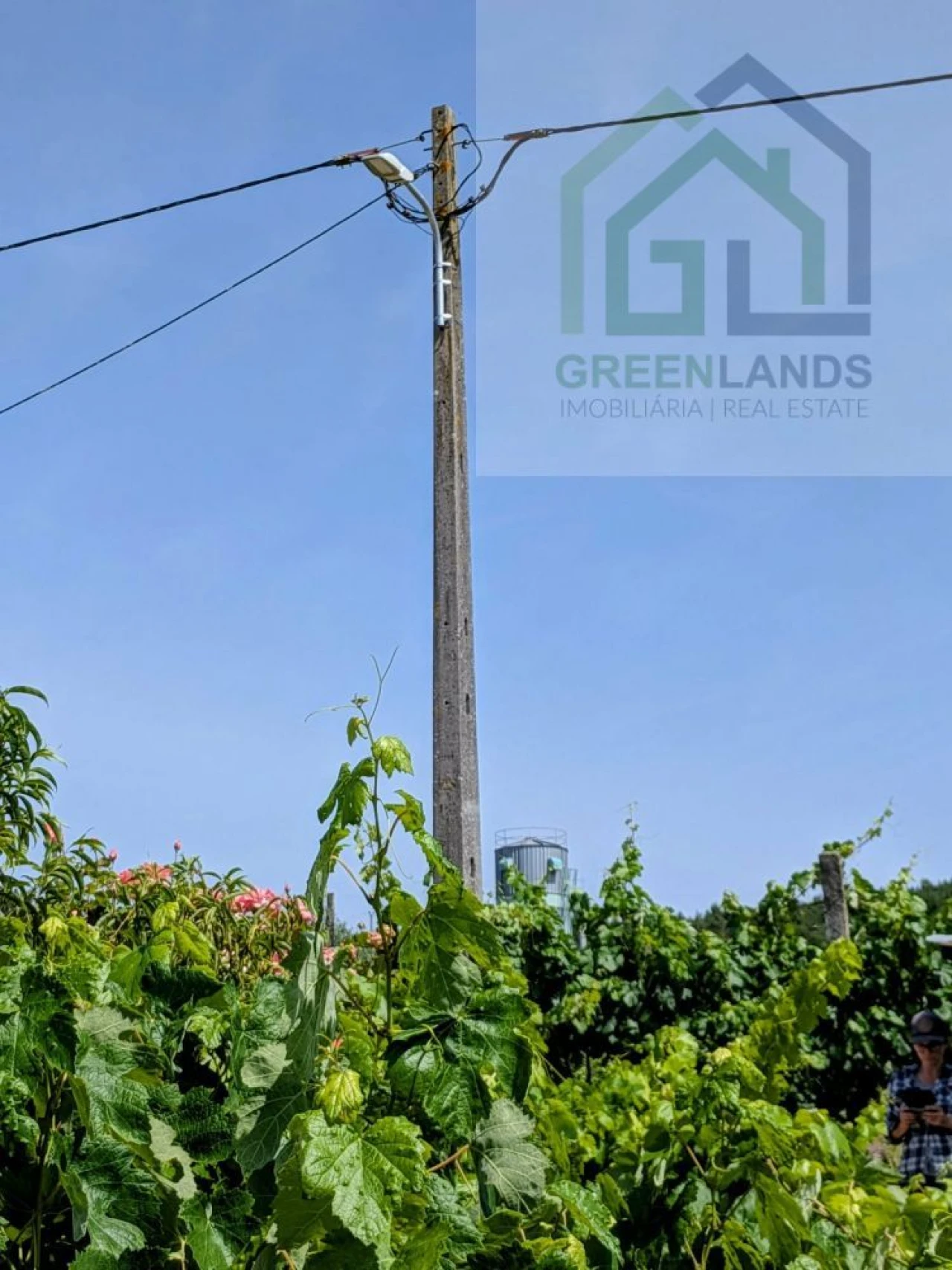 Terreno para Venda em Nogueira do Cravo Foto 19