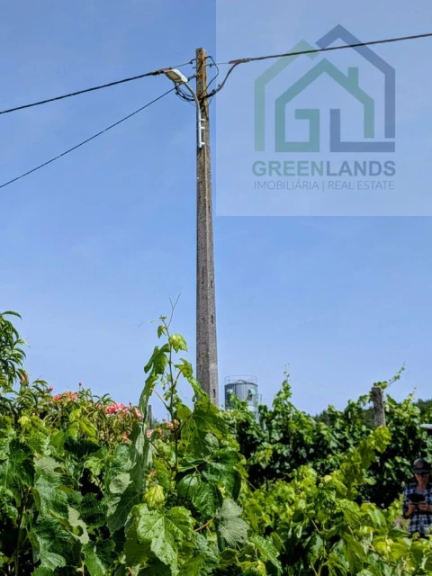 Terreno para Venda em Nogueira do Cravo