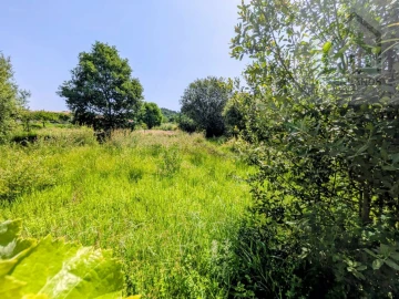 Terreno para Venda em Nogueira do Cravo