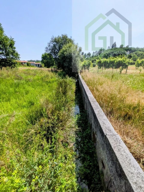 Terreno para Venda em Nogueira do Cravo