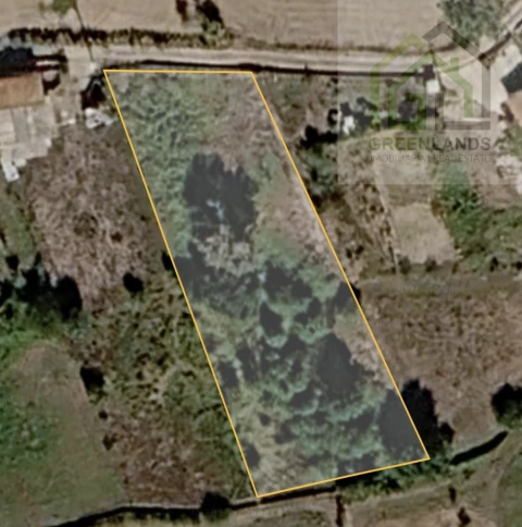 Terreno para Venda em Nogueira do Cravo