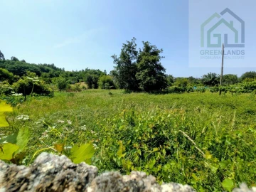 Terreno para Venda em Nogueira do Cravo