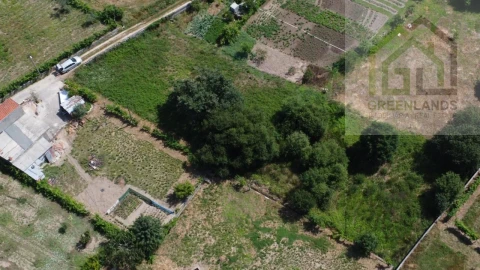 Terreno para Venda em Nogueira do Cravo