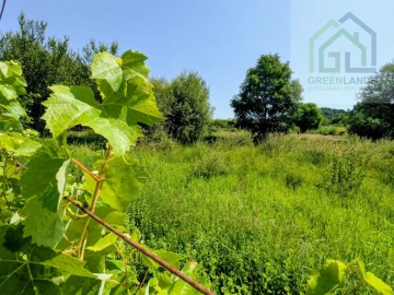 Terreno para Venda em Nogueira do Cravo