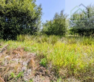 Terreno para Venda em Nogueira do Cravo