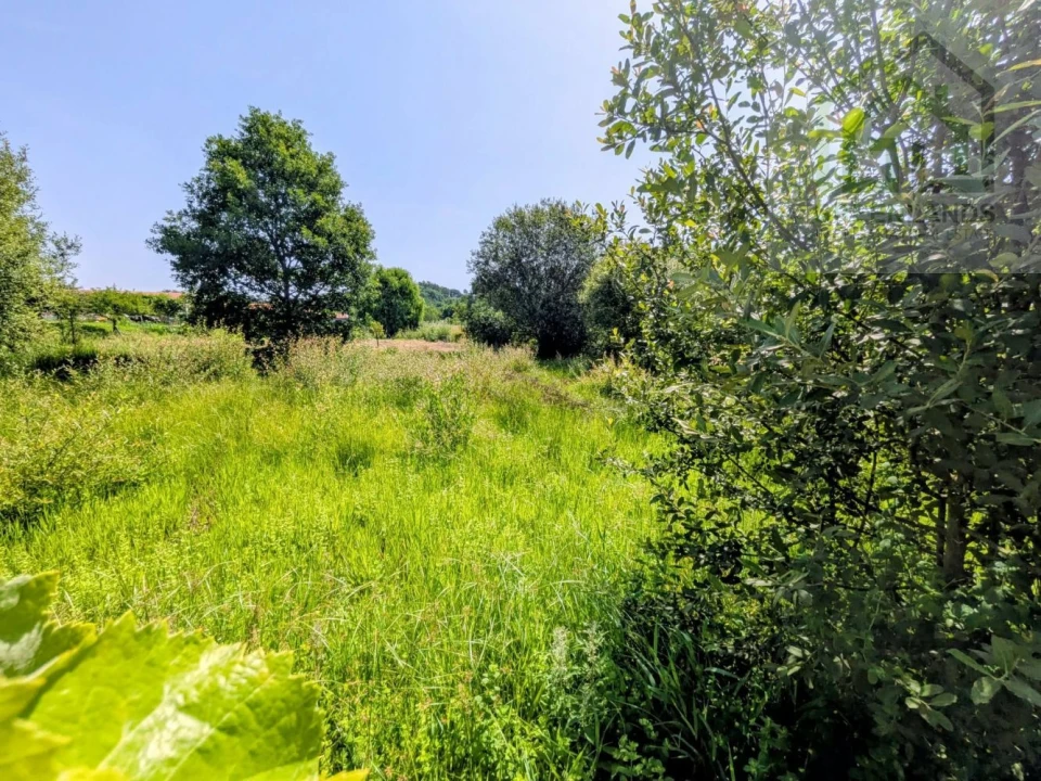 Terreno para Venda em Nogueira do Cravo Foto 16