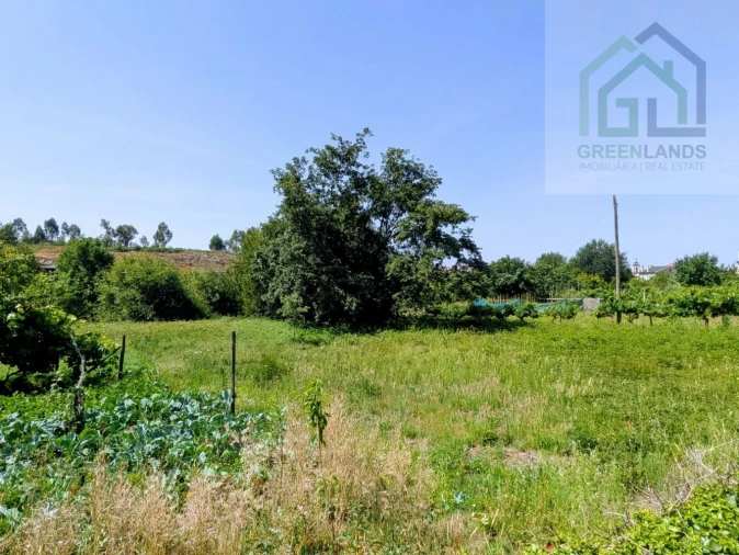 Terreno para Venda em Nogueira do Cravo Foto 23