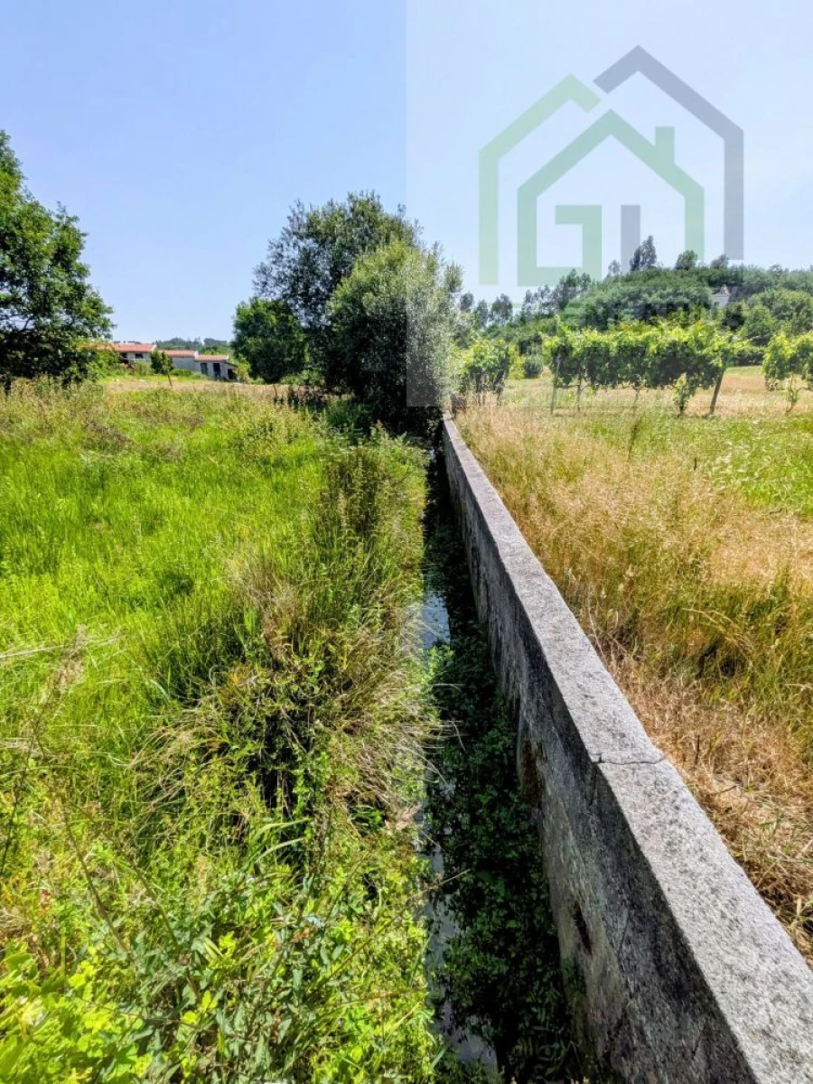 Terreno para Venda em Nogueira do Cravo Foto 10