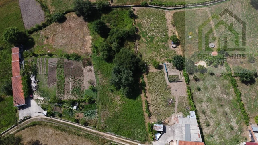 Terreno para Venda em Nogueira do Cravo Foto 6