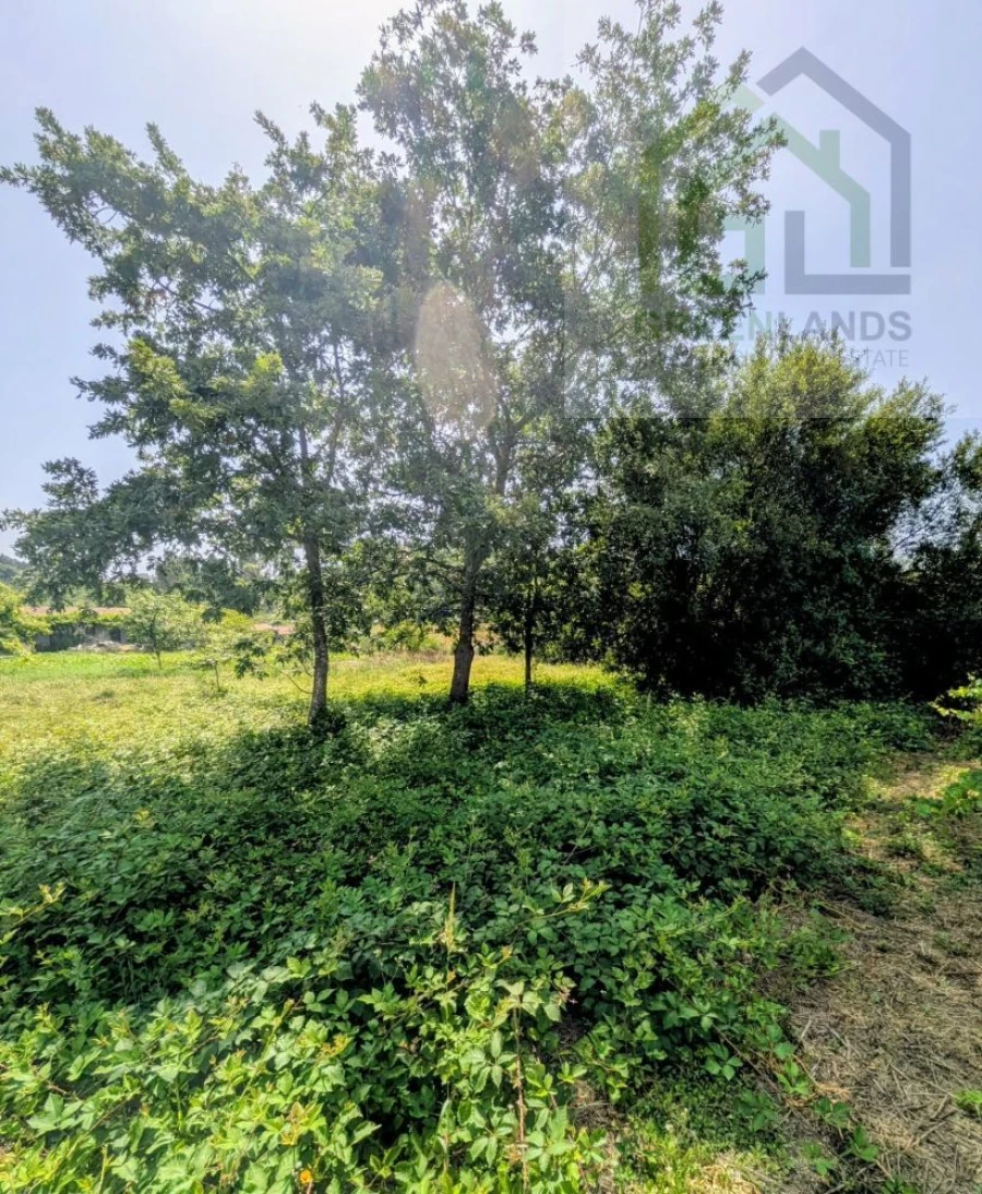 Terreno para Venda em Nogueira do Cravo Foto 18