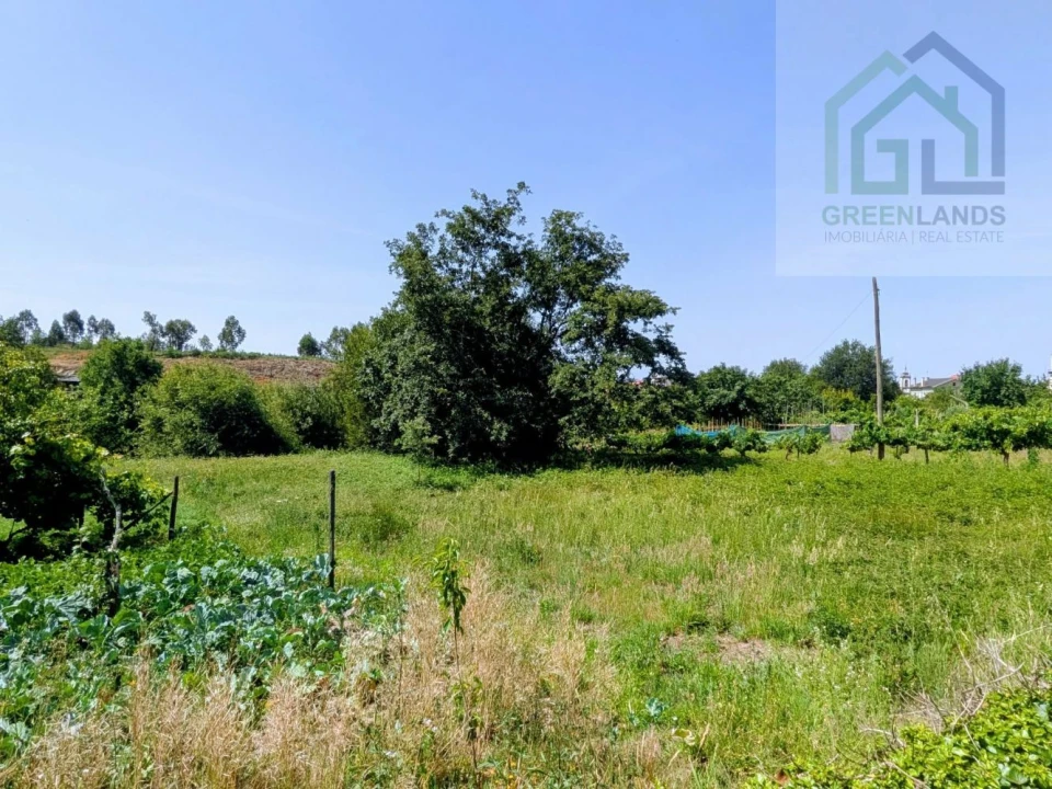Terreno para Venda em Nogueira do Cravo Foto 23