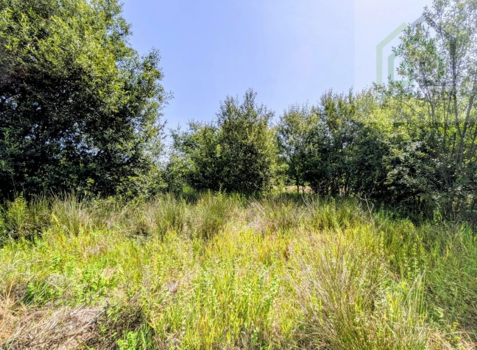 Terreno para Venda em Nogueira do Cravo Foto 17