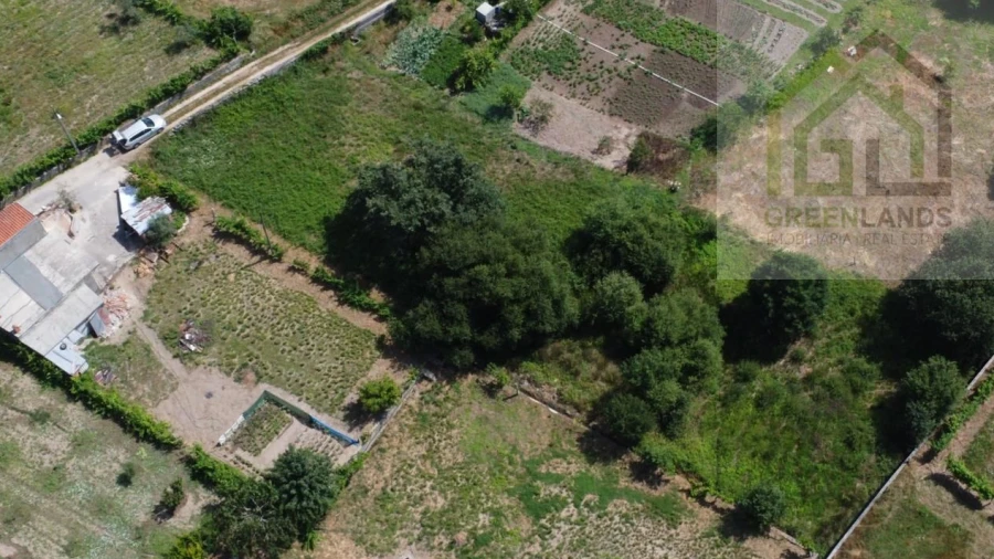 Terreno para Venda em Nogueira do Cravo