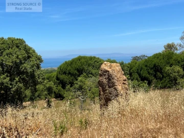 Quinta T7 para Venda em Sesimbra (Castelo)