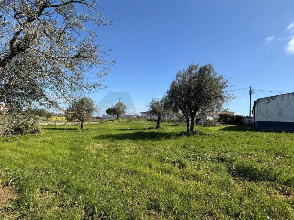 Quinta T3 para Venda em Ferreira do Alentejo e Canhestros Foto 4