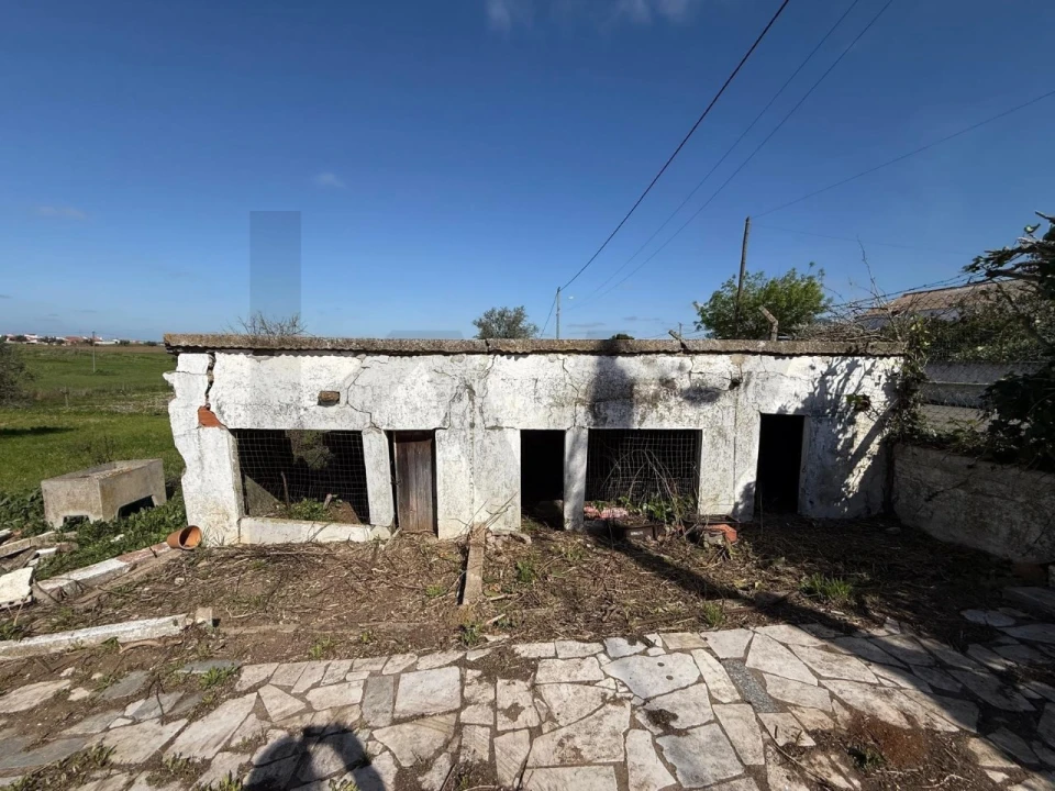 Quinta T3 para Venda em Ferreira do Alentejo e Canhestros Foto 12