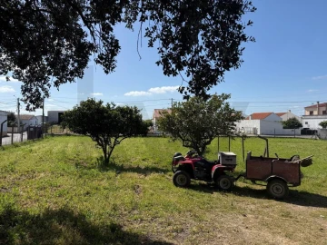 Quinta T3 para Venda em Ferreira do Alentejo e Canhestros