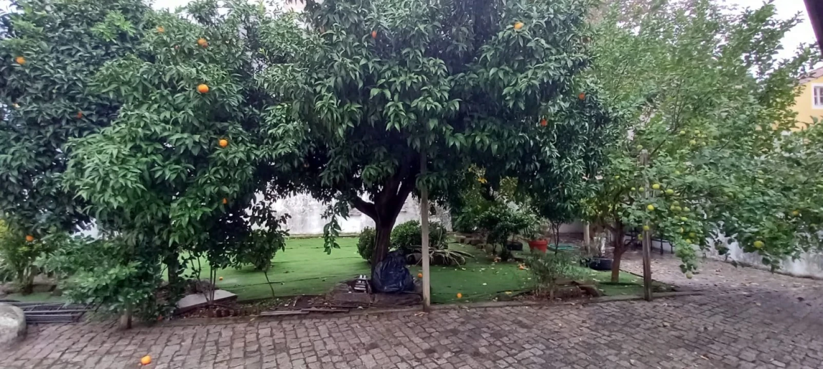 Moradia T4 para Venda em Sé e São Lourenço Foto 4