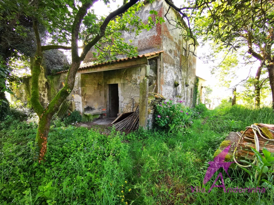 Moradia T3 para Venda em Mazarefes e Vila Fria Foto 4