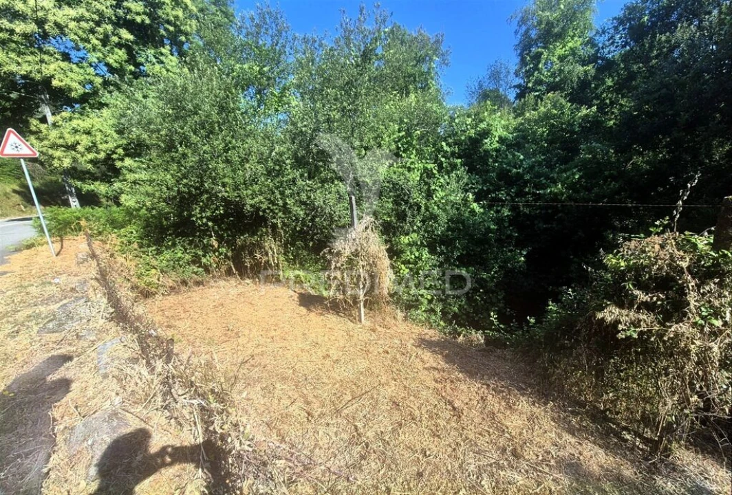 Terreno para Venda em Lanhas Foto 8
