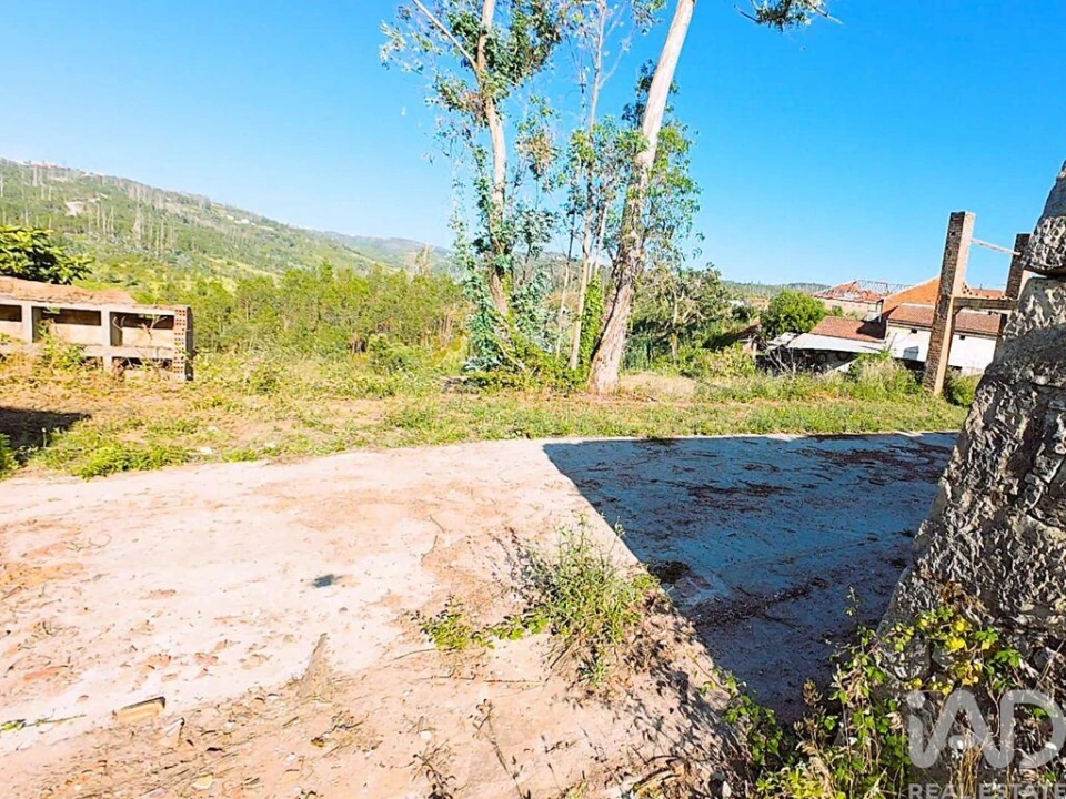 Terreno para Venda em Colmeias e Memória Foto 5