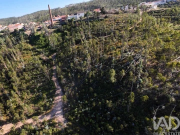 Terreno para Venda em Colmeias e Memória