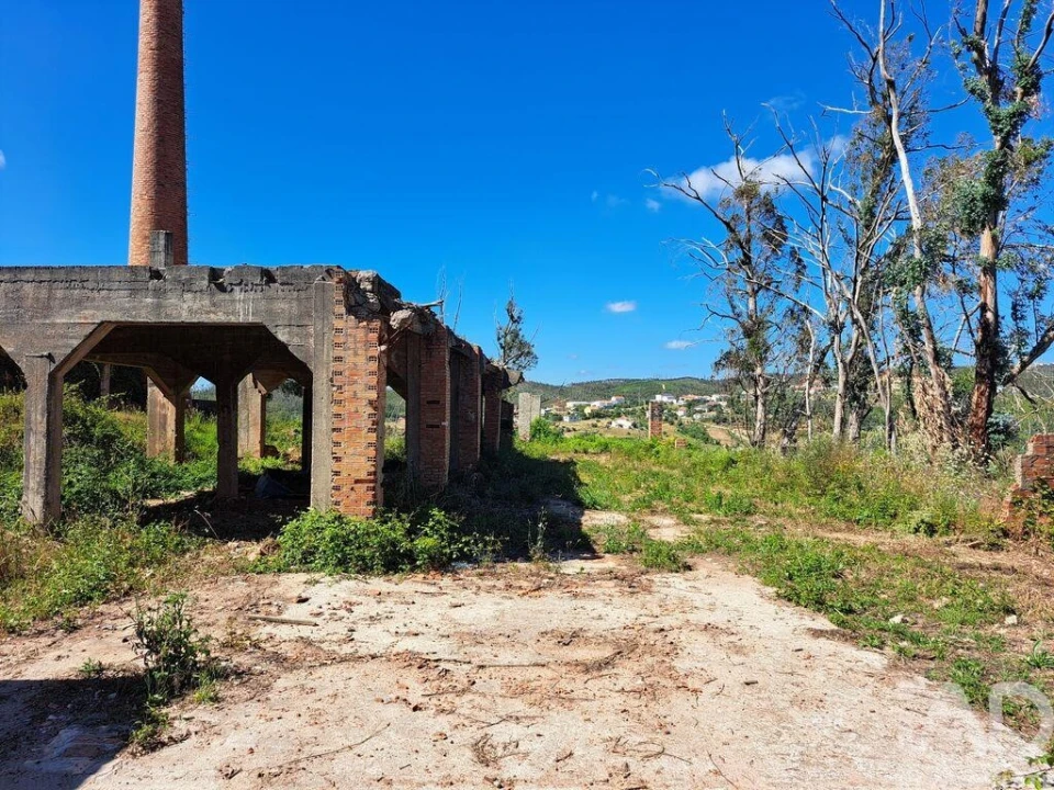 Terreno para Venda em Colmeias e Memória Foto 13