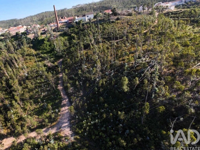 Terreno para Venda em Colmeias e Memória Foto 17