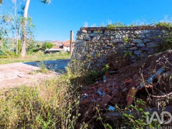 Terreno para Venda em Colmeias e Memória Foto 23